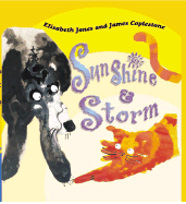 Sunshine and Storm