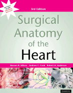 Surgical anatomy of the heart