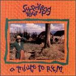 Surprise Your Pig: A Tribute to R.E.M.