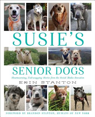 Susie's Senior Dogs - Stanton, Erin