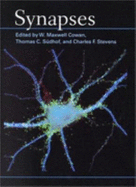 Synapses