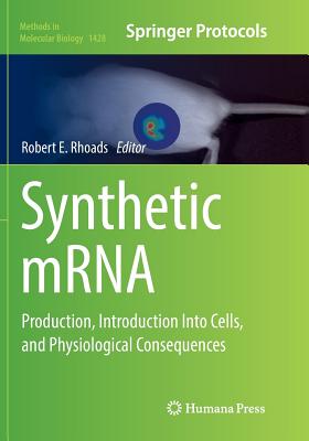 Synthetic Mrna: Production, Introduction Into Cells, and Physiological Consequences - Rhoads, Robert E (Editor)