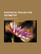 Synthetic Projective Geometry
