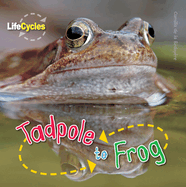 Tadpole to Frog