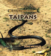 Taipans - Wechsler, Doug