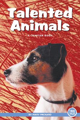 Talented Animals - Packard, Mary