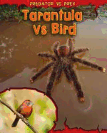 Tarantula vs Bird