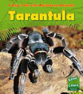 Tarantula