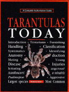Tarantulas Today