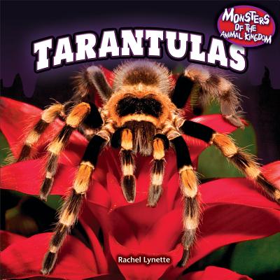 Tarantulas - Lynette, Rachel