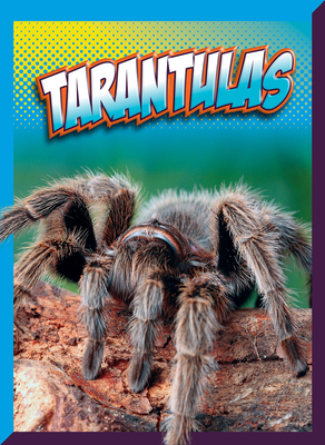 Tarantulas - Storm, Marysa