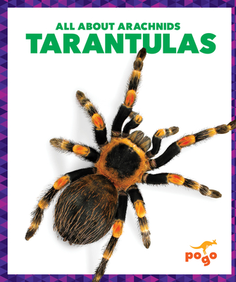 Tarantulas - Becker, Becca