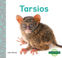 Tarsio fantasma/ Spectral Tarsier