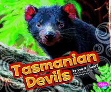 Tasmanian Devils