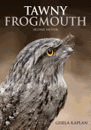 Tawny Frogmouth