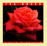 Tea Roses