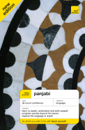 Teach Yourself Complete Panjabi