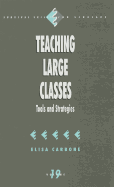 Teaching Large Classes: Tools and Strategies