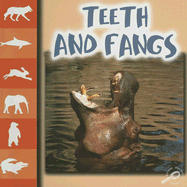 Teeth & Fangs