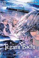 Tegami Bachi, Vol. 13: A District Called Kagerou