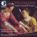 Telemann: Chamber Cantatas