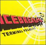 Terminal Velocity