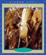 Termites