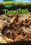 Termites