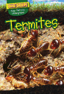 Termites