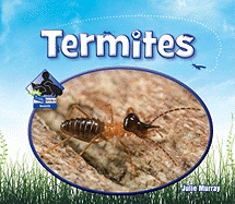 Termites