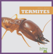 Termites