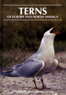 Terns of Europe and North America