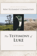 Testimony of Luke