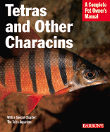 Tetras and Other Characins