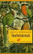 Teufelsbruck: Roman