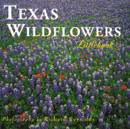 Texas Wildflowers