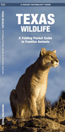 Texas Wildlife: An Introduction to Familiar Species