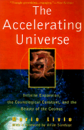 The Accelerating Universe