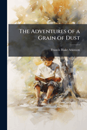 The Adventures of a Grain of Dust