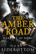 The Amber Road: Warrior of Rome: Book 6