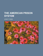 The American Prison System