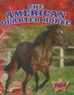 The American Quarter Horse