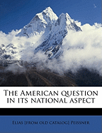 The American Question in Its National Aspect