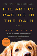 The Art Of Racing In The Rain