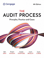 The audit process