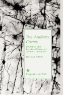 The auditory cortex structural and functional bases of auditory perception