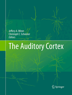 The Auditory Cortex