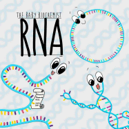 The Baby Biochemist: RNA