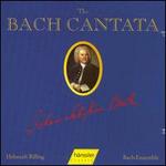 The Bach Cantata, Vol. 15