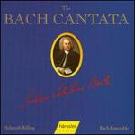 The Bach Cantata, Vol. 45